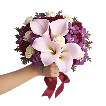 Elegant Calla Lilies