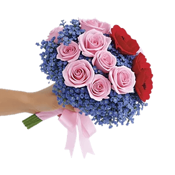 Pastel Pink Roses