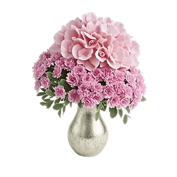 Ivory Blossom Radiance