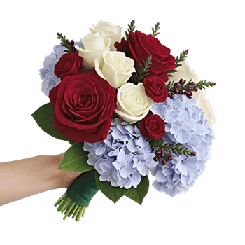 Crimson Rose Elegance