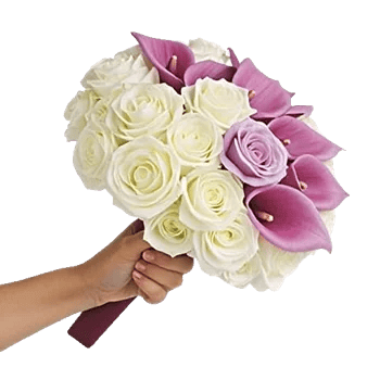 Elegant Calla Lilies