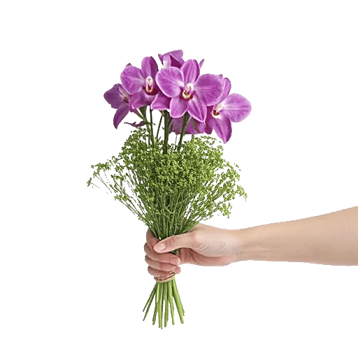 Serenity Orchid Bloom