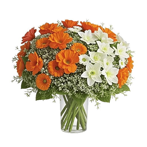 Petal Radiance Bliss