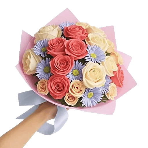 Coral Blossom Harmony