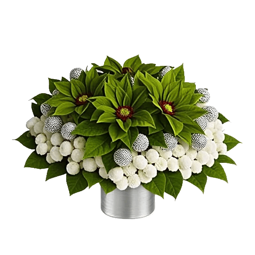 Emerald Leaf Harmony