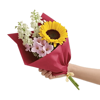 Blossom Harmony Display