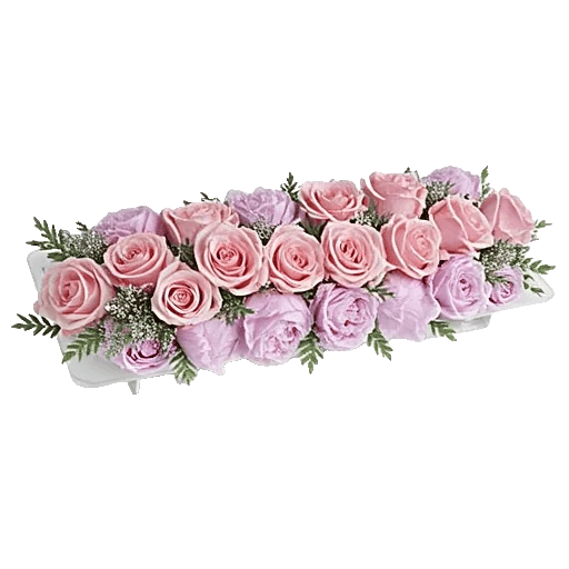 Pink Pastel Roses