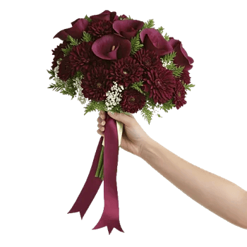 Elegant Calla Lilies
