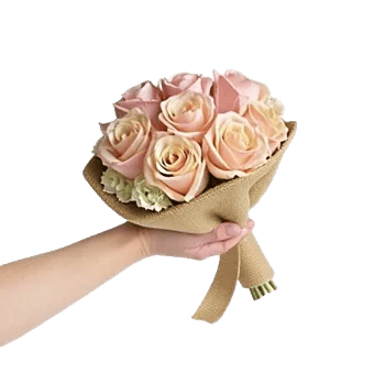Pink Pastel Roses