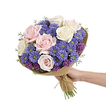 Pastel Pink Roses