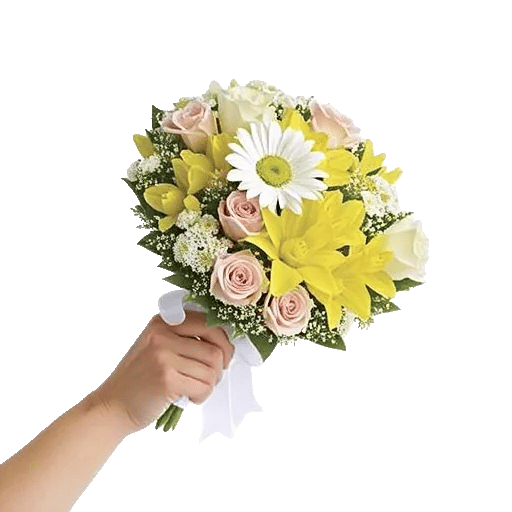 Blossom Harmony Display