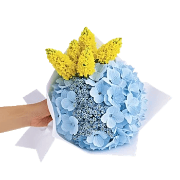 Serene Petal Harmony