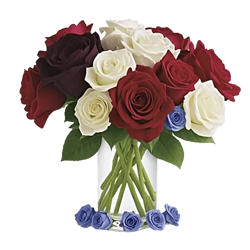 Radiant Rose Symphony