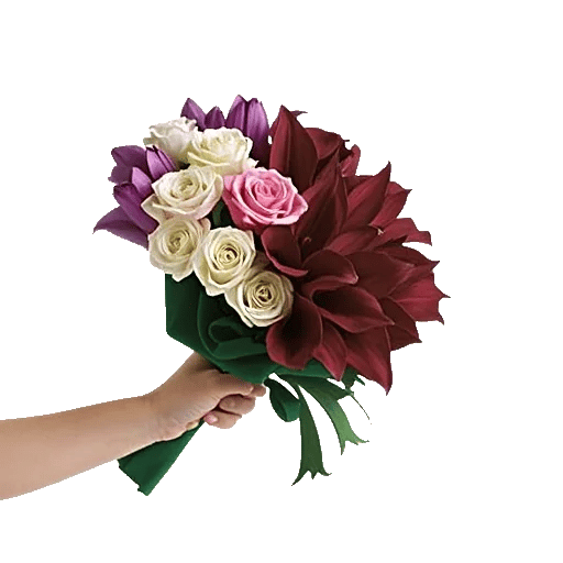 Blushing Rose Symphony