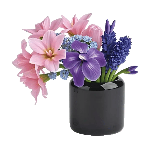 Ivory Blossom Radiance