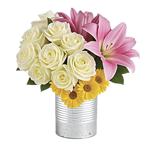 Radiant Rose Symphony