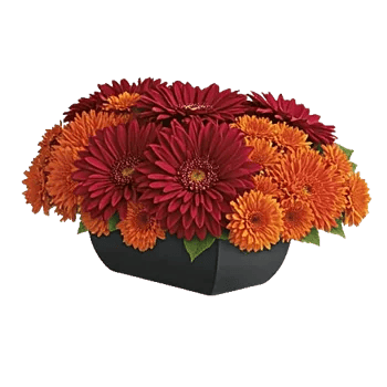 Radiant Bloom Cascade