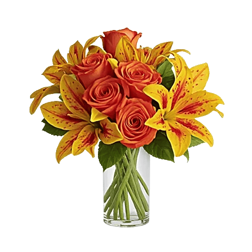 Petal Radiance Bliss