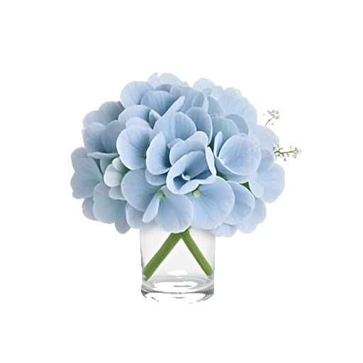 Sapphire Bloom Whisper