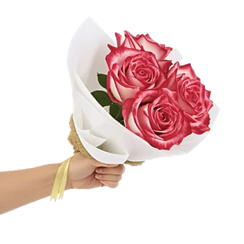 Radiant Rose Symphony