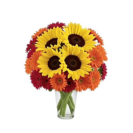 Radiant Bloom Cascade