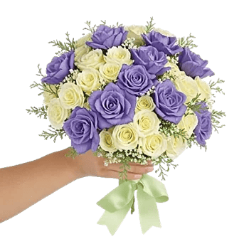 Blossom Petal Serenity