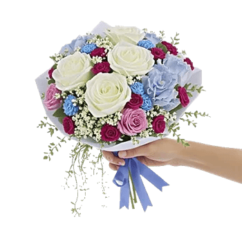 Serene Petal Harmony