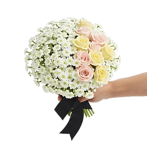 Ivory Blossom Radiance