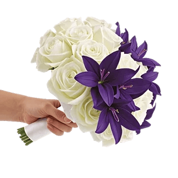 Blushing Rose Symphony