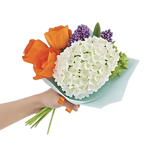 Ivory Blossom Radiance