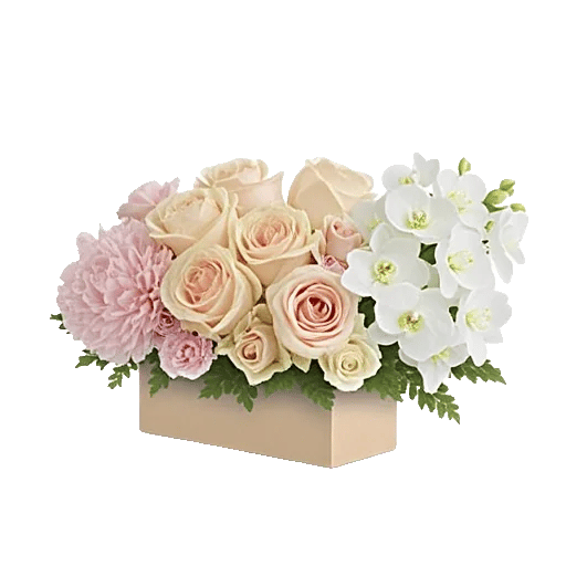 Delicate Petal Cascade