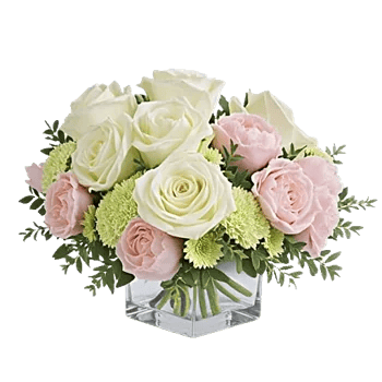 Delicate Petal Cascade