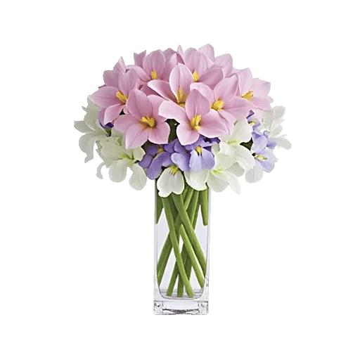 Ivory Blossom Radiance