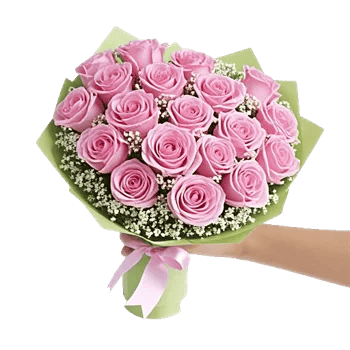 Pastel Pink Roses