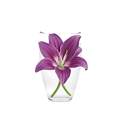 Graceful Lily Display