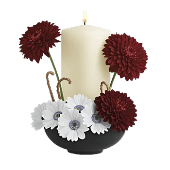 Ivory Blossom Radiance