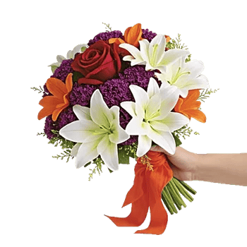 Crimson Rose Elegance