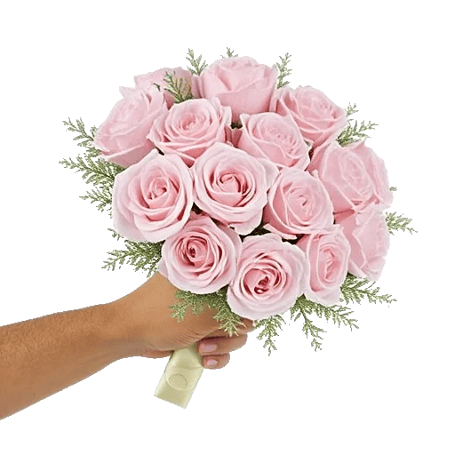 Pastel Pink Roses