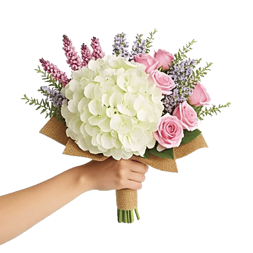 Serene Petal Harmony