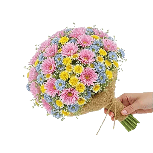 Blossom Petal Serenity