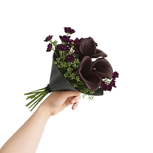 Elegant Calla Lilies