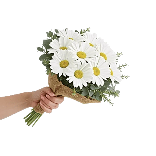 Minimalist White Orchids