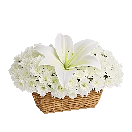 Graceful Lily Display