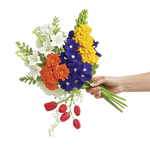 Blossom Harmony Display