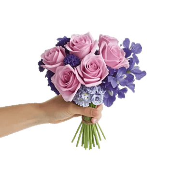 Serenity Blossom Grace