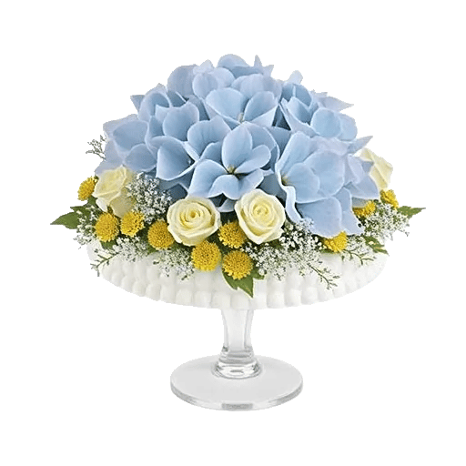 Azure Sky Blooms