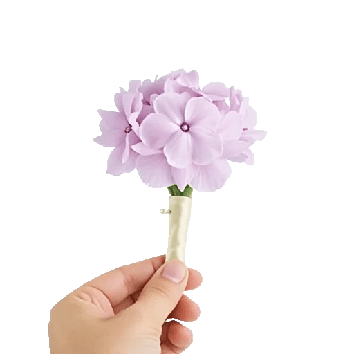 Petal Softness Display