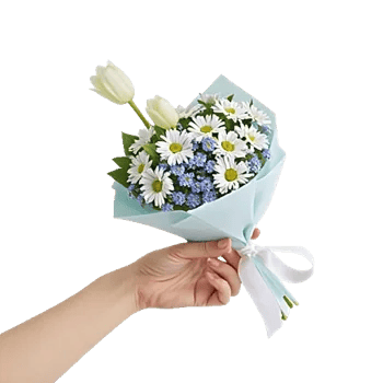 Serene Petal Harmony