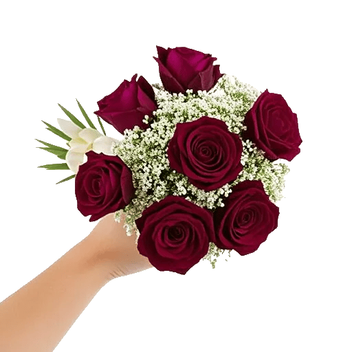 Crimson Rose Elegance