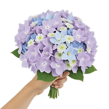 Serene Petal Harmony